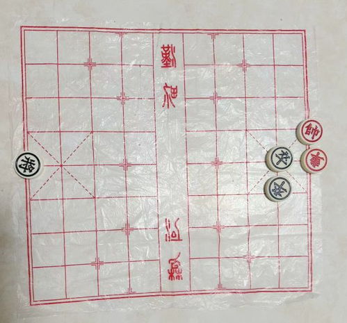 中国象棋第一人王天一被批准逮捕_经济观察报：中国象棋第一人王天一涉嫌买棋卖棋，被杭州检方批逮