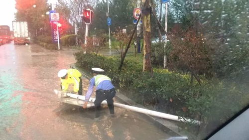 致敬风雨中的守护力量_致敬暴雨中的守护力量