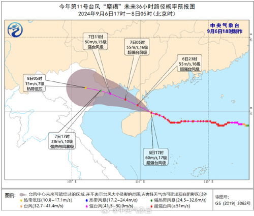 台风摩羯严重影响广东徐闻_台风“摩羯”即将登陆，大批司机滞留广东徐闻 滞留司机：滞留3天，已被转移到临时安置点