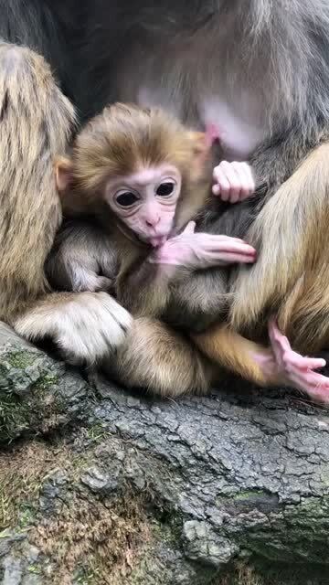 台风天守护宝宝出生的爸妈们_“台风宝宝”，平安出生！