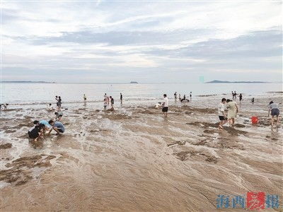 台风过后海南人开启赶海模式_台风过后海南人开启赶海模式：捡不完，根本捡不完