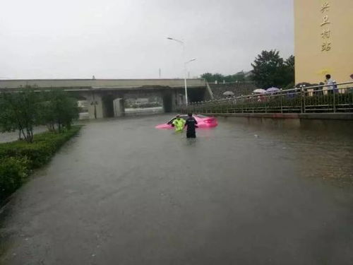 上海网友称今天在暴雨中坐船上班_上海暴雨，有地区被水淹，积水严重，上班受影响，有人划船出行