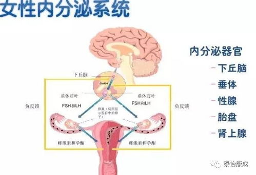 月经推迟或是这5种原因_月经总是“迟到”？医生：多半与5个因素有关，需尽早干预！