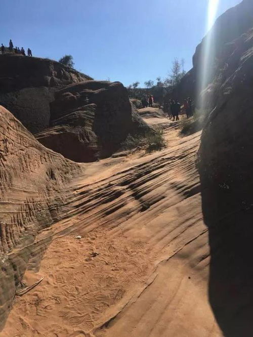 景区回应丹霞地貌被植被覆盖_兰州水墨丹霞地貌披“绿装”，景区回应：季节性景观变化