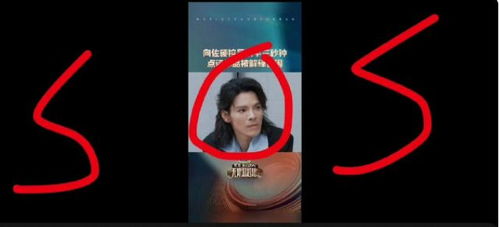 #费曼模仿向佐#费曼神回复向佐：怕吴镇宇“家暴”拒做演员？并坦言超尊重向爸！