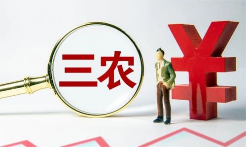 做好2025年三农工作_三个“关键词” 看2025年“三农”工作怎么干