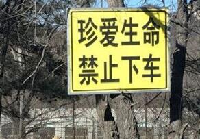 八达岭动物园儿童探身出车 动物园暂无回应