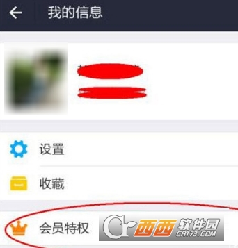 支付宝黄金会员有什么用？附详细情况介绍