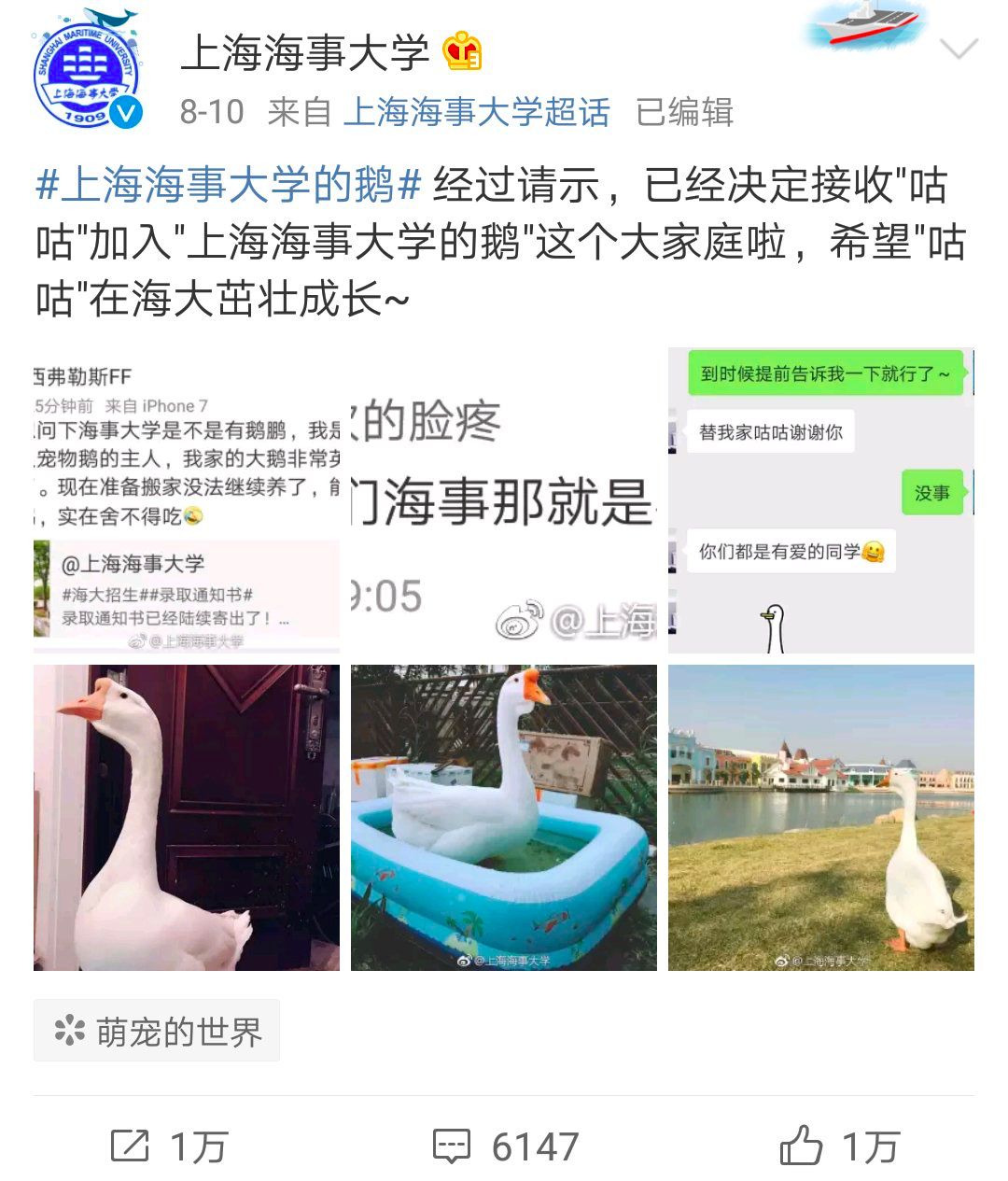 上海海事大学“录取”了一只鹅