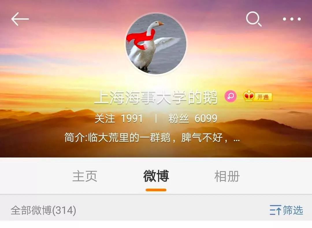 上海海事大学“录取”了一只鹅