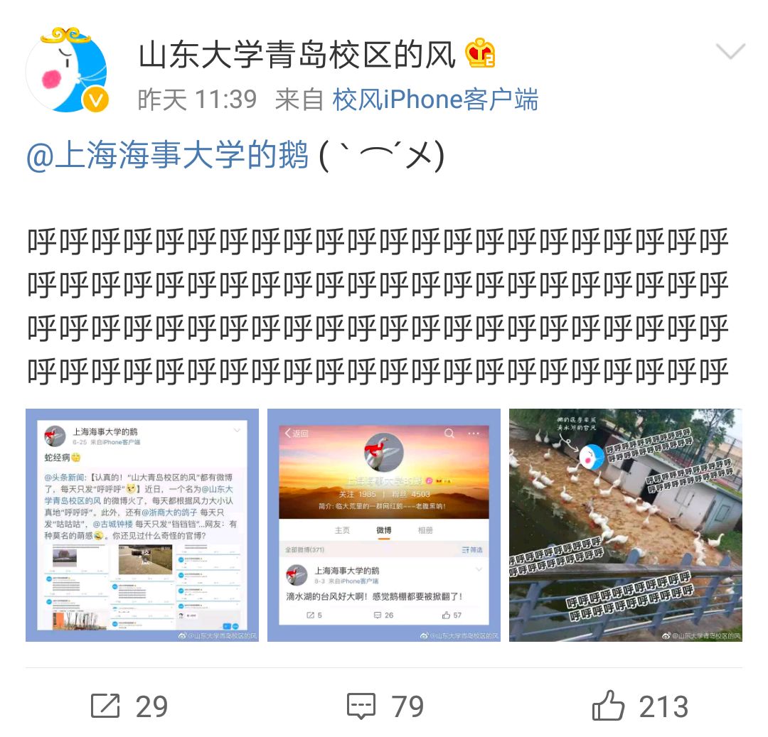 上海海事大学“录取”了一只鹅