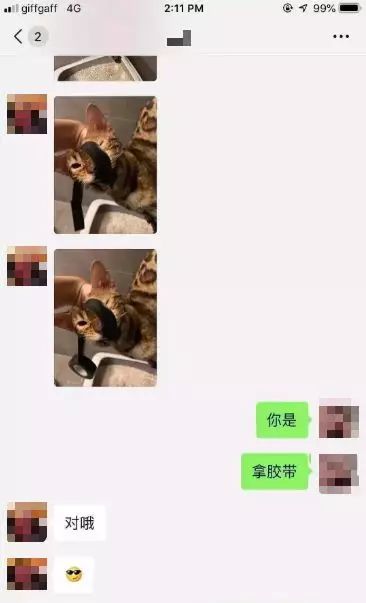 伦敦留学生情侣虐猫事件怎么回事？如何看待中国留学生虐猫致死事件！