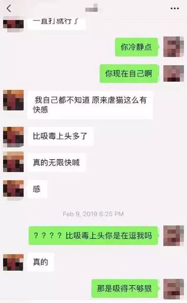 伦敦留学生情侣虐猫事件怎么回事？如何看待中国留学生虐猫致死事件！