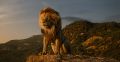 25年后真狮版《狮子王》回归 2天票房近3亿 为什么狮子王可以这么优秀?