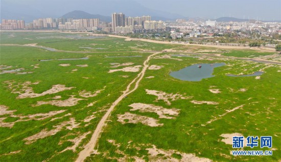 江西81天无雨怎么回事？江西81天无雨造成旱灾情详细情况