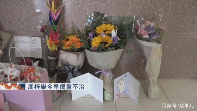 港科大坠楼学生离世死因真相 坠楼学生今晨去世详情始末