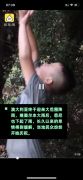 澳大利亚人雨中狂喜什么情况？澳大利亚山火最严重地区火情有缓解