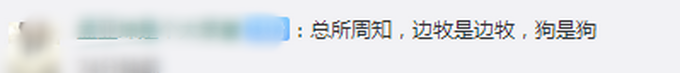 智商最高!牧羊犬滑滑板下30级楼梯,网友:不敢养边牧,怕它嫌我笨