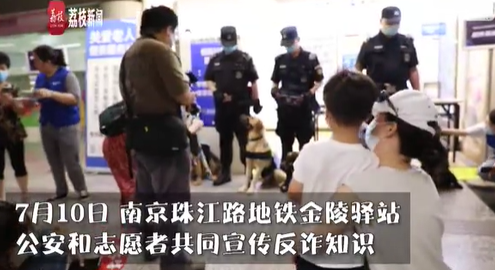 南京地铁反诈警犬队上岗 地铁最萌警犬队成反诈专员