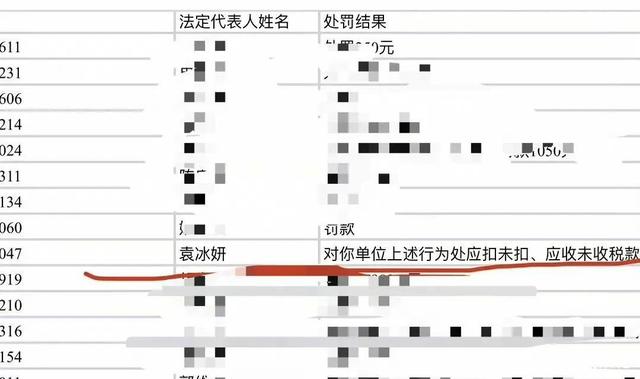 袁冰妍 演员袁冰妍公司偷被罚97万