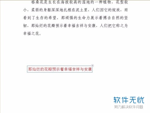 如何在PDF图片上添加文字