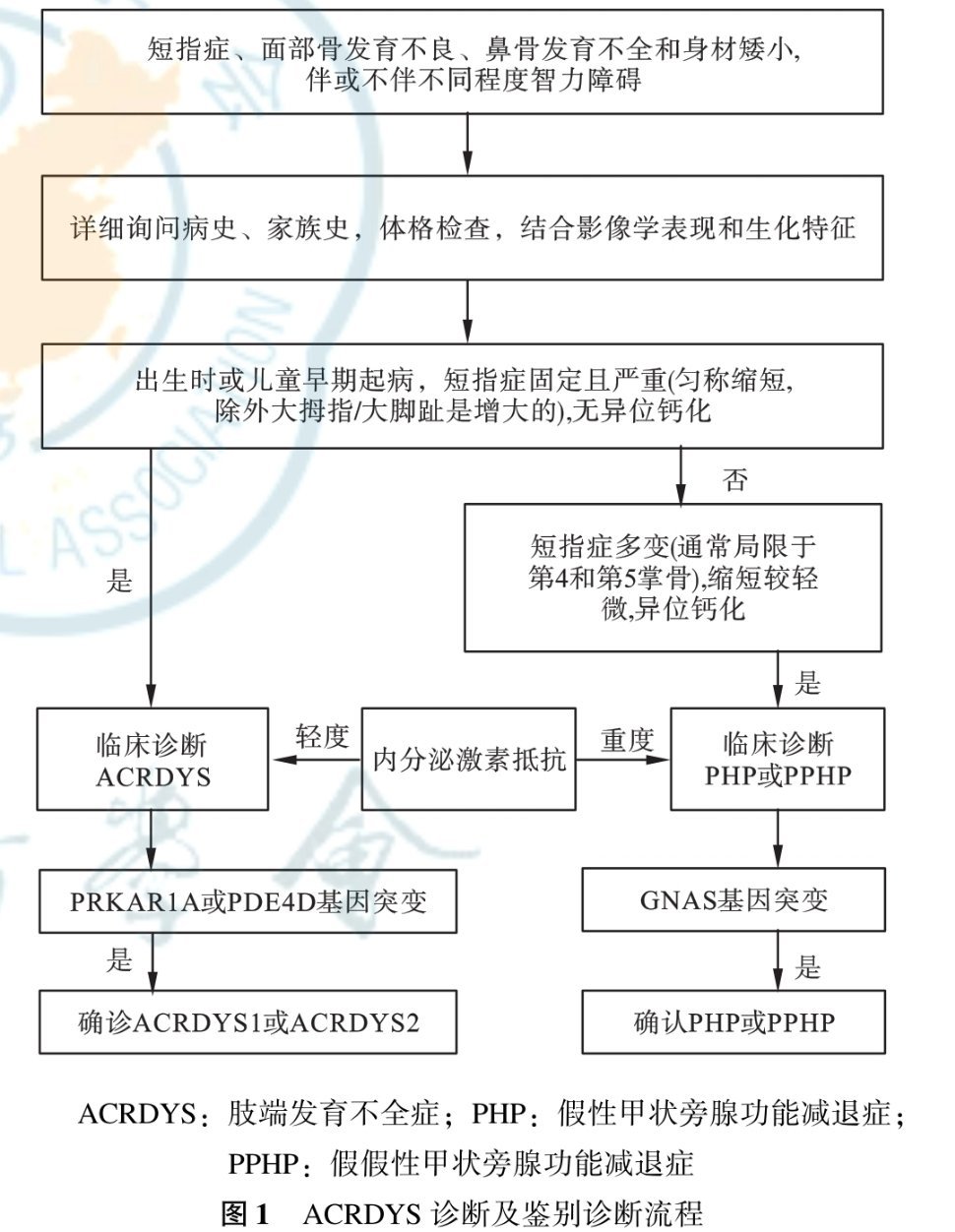 5岁女童无鼻梁或基因异常 五岁女儿没有鼻梁怎么办 小孩无鼻梁