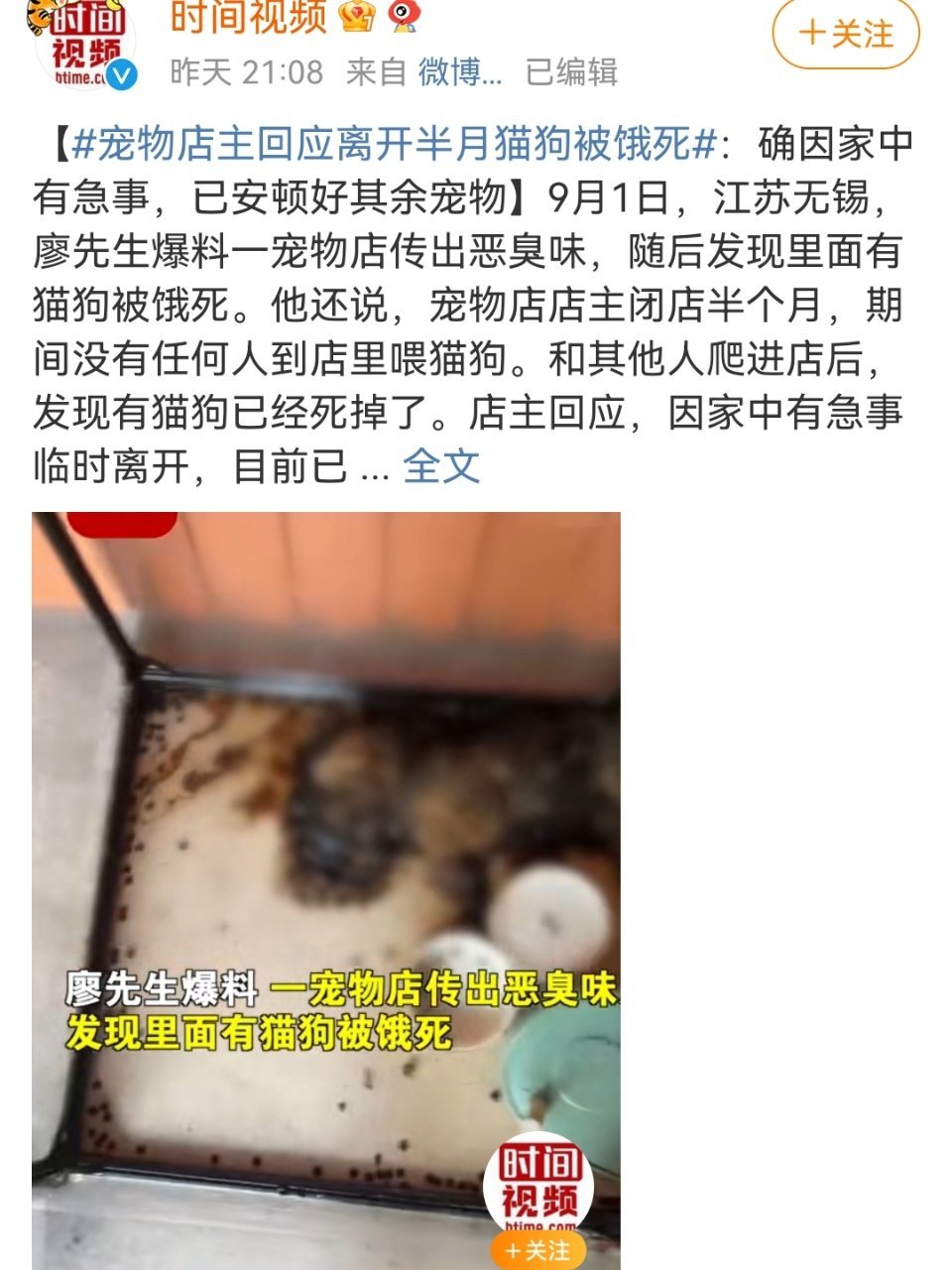 宠物店主回应离开半月猫狗被饿死  猫咪走失一个月了会饿死吗 宠物猫饿几天会死