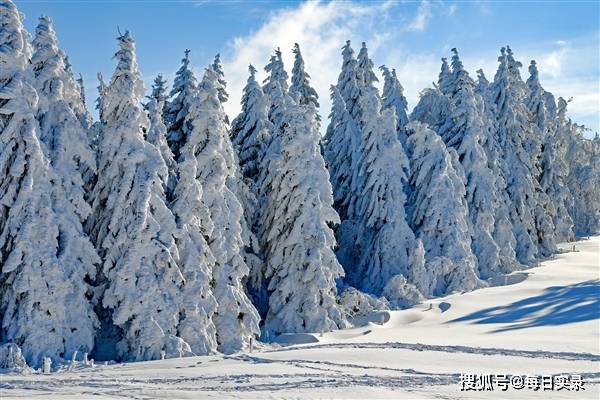 辽宁多地大雪,辽宁下雪多吗