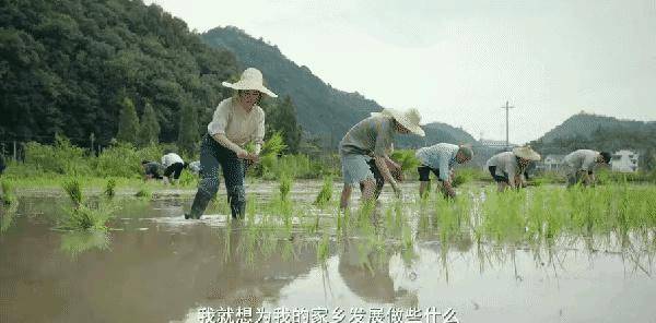 我们这十年电视剧什么时候开播 我们这十年电视剧在哪个台播出