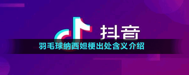 羽毛球纳西妲梗出处含义介绍