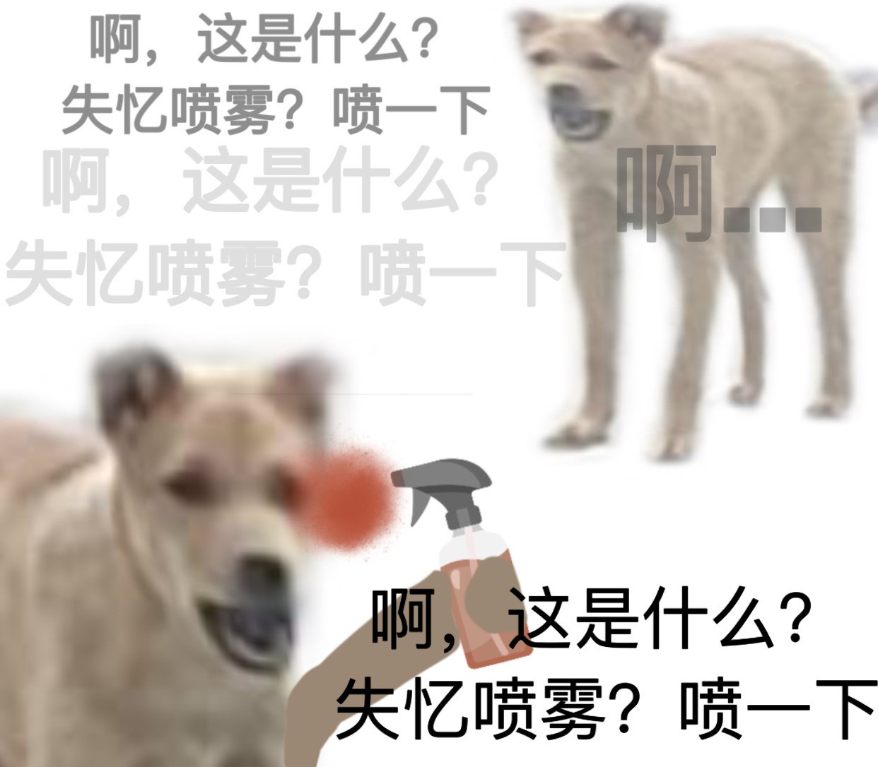 抖音发疯文学什么梗