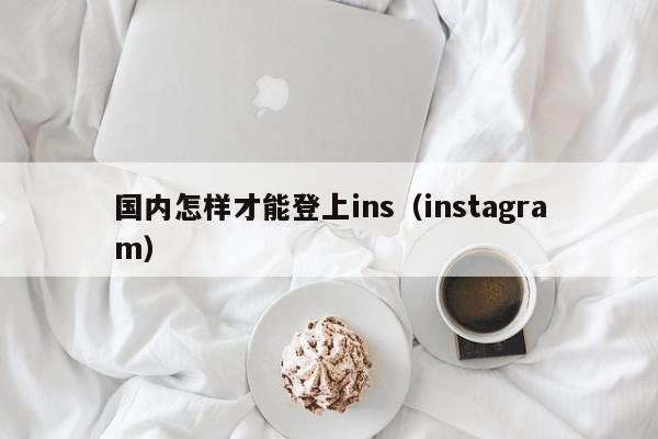 å›½å†…æ€Žæ ·æ‰èƒ½ç™»ä¸Šinsï¼ˆinstagramï¼‰