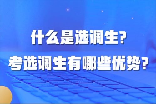 什么条件可以考选调生