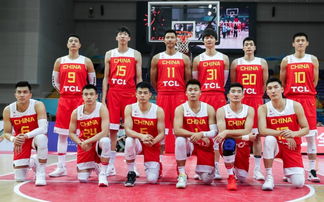 中国男篮12人名单详细