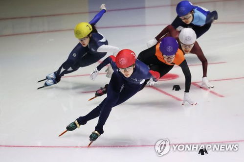韩国短道速滑男队队员