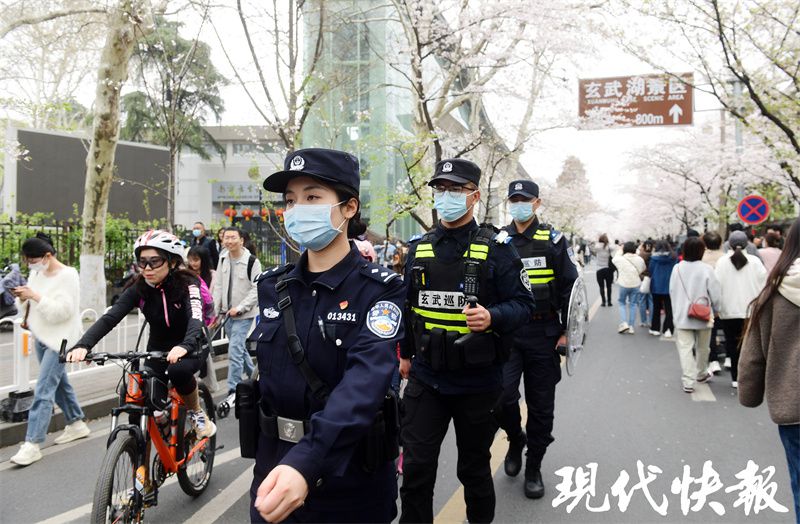 “鸡鸣寺路的比樱花好看！”网友点赞：赏花人流中的“定海神针”