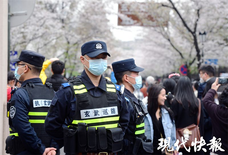 “鸡鸣寺路的比樱花好看！”网友点赞：赏花人流中的“定海神针”