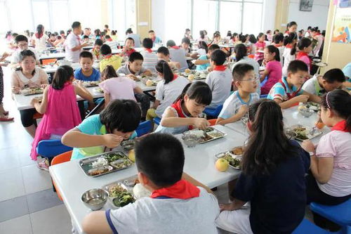 重庆江津一小学食堂出现鼠头系谣言_网传“重庆江津区一所小学食堂里出现鼠头？” 官方辟谣