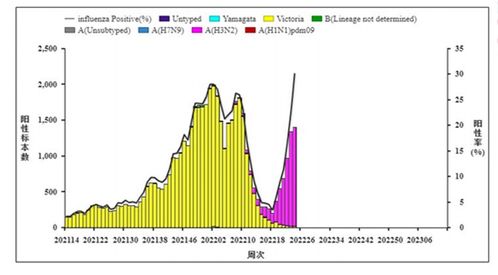 上周南北方省份流感病毒检测阳性率持续上升_国家流感中心：上周南、北方省份流感病毒检测阳性率持续上升