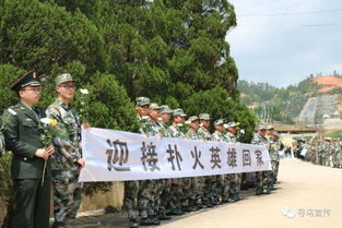 山河已无恙忠魂归故里_山河已无恙，忠魂归故里