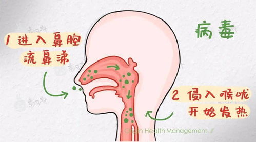 今冬呼吸道疾病和新冠有关联吗_今冬呼吸道疾病和新冠有关联吗？专家解读