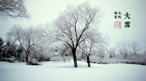 #大雪节气#雪落冬藏！大雪节气全国寻雪地图出炉 看哪里能邂逅迷人雪景