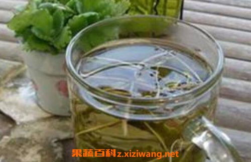 鱼腥草气泡水是啥味_年轻人还喝秋天的第一杯奶茶吗？｜钛媒体《有YOUNG说样》直播沙龙