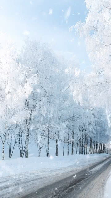 你喜不喜欢雪天_原来并不是每个人都喜欢下雪！只有不担心生活的人才特别期盼下雪