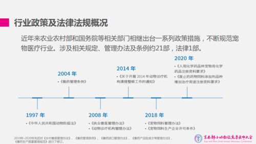 美团将9.4万盒急需药送达积石山_美团买药联合德生堂等支援积石山县救灾：首批9.4万盒阿莫西林等急需药品已送达