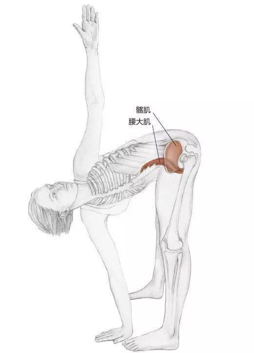 三个动作锻炼腰部核心力量_核心力量至关重要，5个核心训练动作，帮助你强化脆弱的腰腹