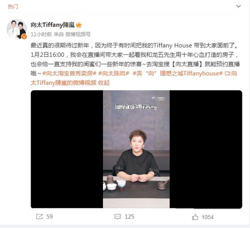 向太宣布将出售耗时十年建成豪宅_向太宣布将出售耗时十年建成豪宅