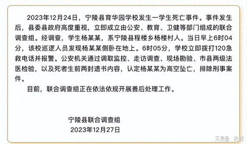 河南宁陵县通报一学生坠亡事件_河南宁陵县通报一学生高空坠亡：生前留两封遗书，警方排除刑案