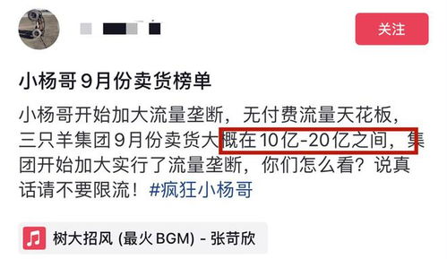 小杨哥徒弟再复播带货销售额超1000万_小杨哥徒弟小黄再次复播人气高！五分钟在线49万，2.5小时1023万