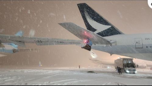 国泰航空与大韩航空飞机日本机场擦碰_日媒：国泰航空与大韩航空飞机在日本新千岁机场发生擦碰事故 无人受伤